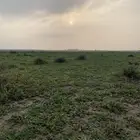 مبسط اعلاف للايجار المجمعه