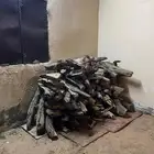 مسحة شاص سمر