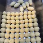 معلم سمبوسه و كبة