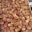 علب تمر افطار صائم جمله