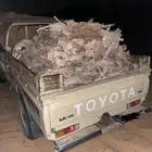 شاص حوض