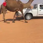 خلفه مصغر كفووو