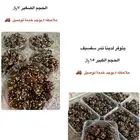 يوجد لدينا تمر سفسيف