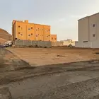 فرصة استثمارية مميزة لشراء ارضين متجاورة في حي الروضة بسراة