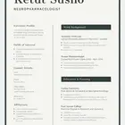 تصميم سيرة ذاتية احترافية cv