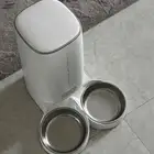 موزع اكل قطط