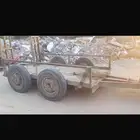اللبيع قلص بوبكات