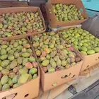 لوز شي طيب ويوجد توصيل