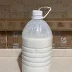 لبن بقر طازج
