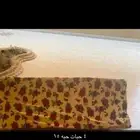 طراحه اربع حبات للبيع