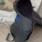 سرج ستيس