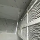 عربيات نحل للبيع