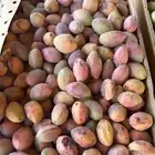لوز شي طيب ويوجد توصيل