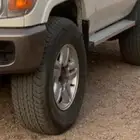 جنواط الكزس