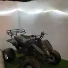 دباب سويدي