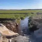 بر. بلدي معيه