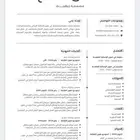 سيرة ذاتية احترافية