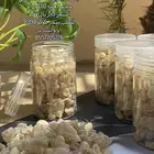 عروض نهاية العام لبان حوجري عماني