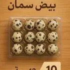 انتاج يومي