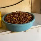 قنيان برحي