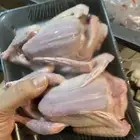 6 اجواز فرنسي جامبو