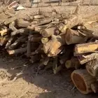 المستورد البدوي موجود تفريد حملت هلكس مسح الصندوق