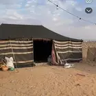 اللبيع بيت شعر طوله 9 5 مع فرشه نضيف كذالك خيمه طول 9 5 مع