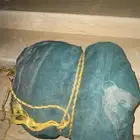 شرع