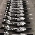 دودة دركسون تورس