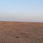 أرض زراعيه للبيع