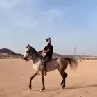 فرس شعبيه كفوو