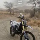 دباب صحروي