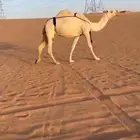 القرنة