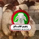 رميح للذبايح.. نحرص على اجود انواع الذبايح