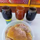 عسل بلدي