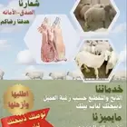 خرفان نعيم