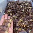 برني العيص