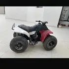 دباب