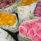ورد جوري