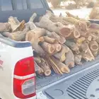 شي كفو يابس كفو مسح هلكس غمارتين شي كفو