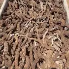 حطب سمر شرط