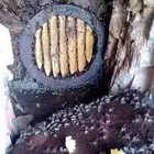 عسل جبلي