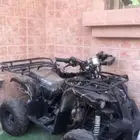 دباب