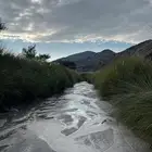 مطلوب كامري هيبرد