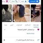 صقر للأغنام بالدمام
