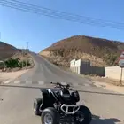 دباب سويدي للبيع