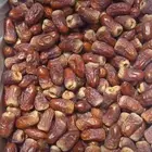 برني العيص ( الملكي رقم واحد