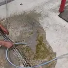 غسيل و فك حصر خيل ( افراس او حصن )