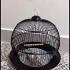 قفص زينة