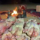 يتوفر بافضل جوده حمام - بط - ارنب - سمان - ديك رومي